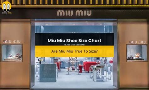 miu miu sneakers size guide|miu mi u shoes.